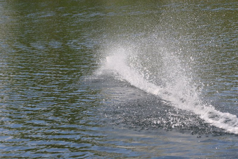 Vereinstreffen 14.09.2019