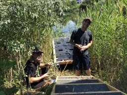Arbeiten 20.-22.06.2019