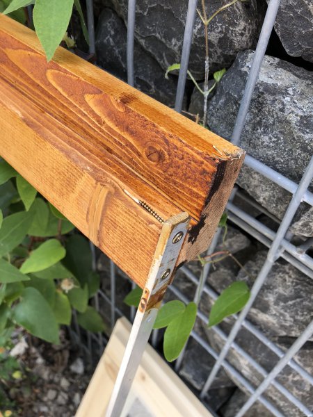 Errichtungs Vereinshaus 06-07/2019