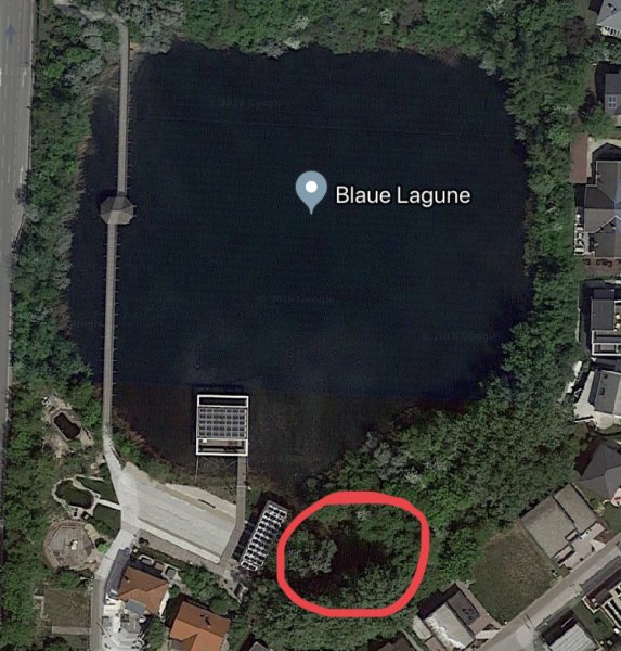 Rodungsarbeiten 10.05.2019