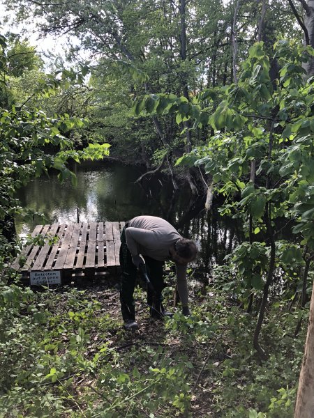 Rodungsarbeiten 10.05.2019