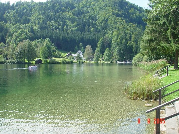 Lunz 2005