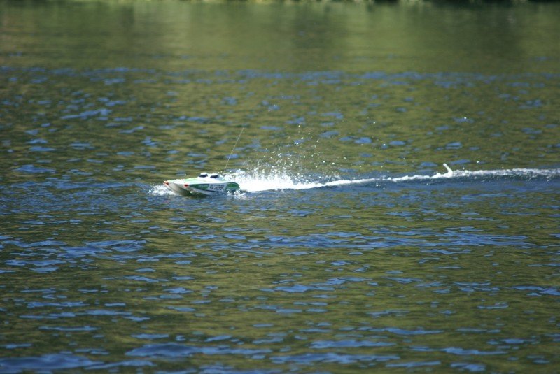 Lunz 2006