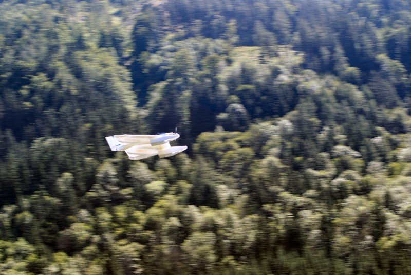 Lunz 2006