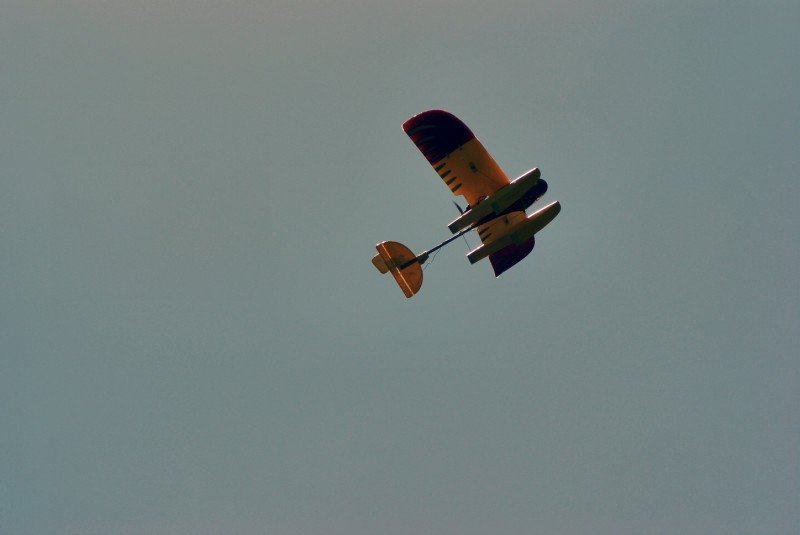Lunz 2006