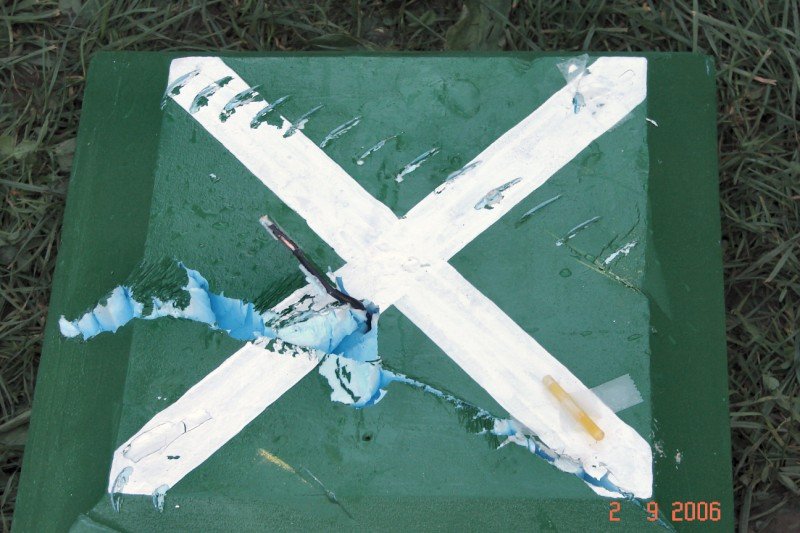Lunz 2006