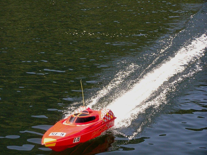 Lunz 2006