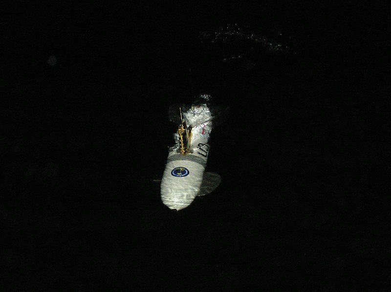 Lunz 2006