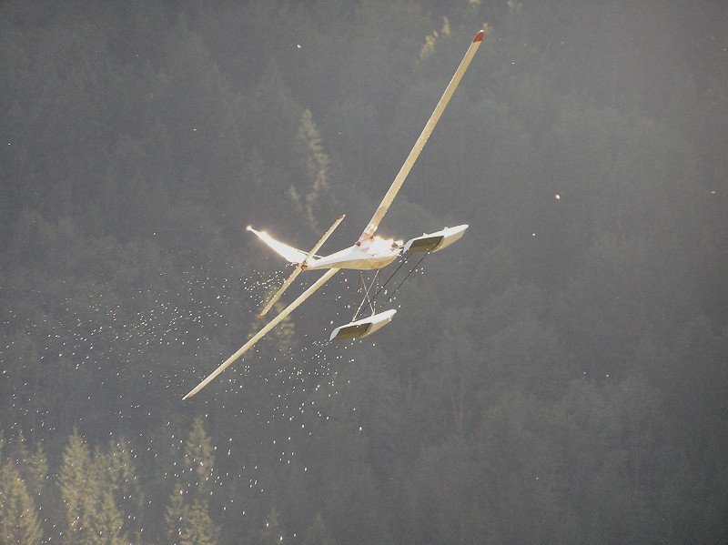 Lunz 2006