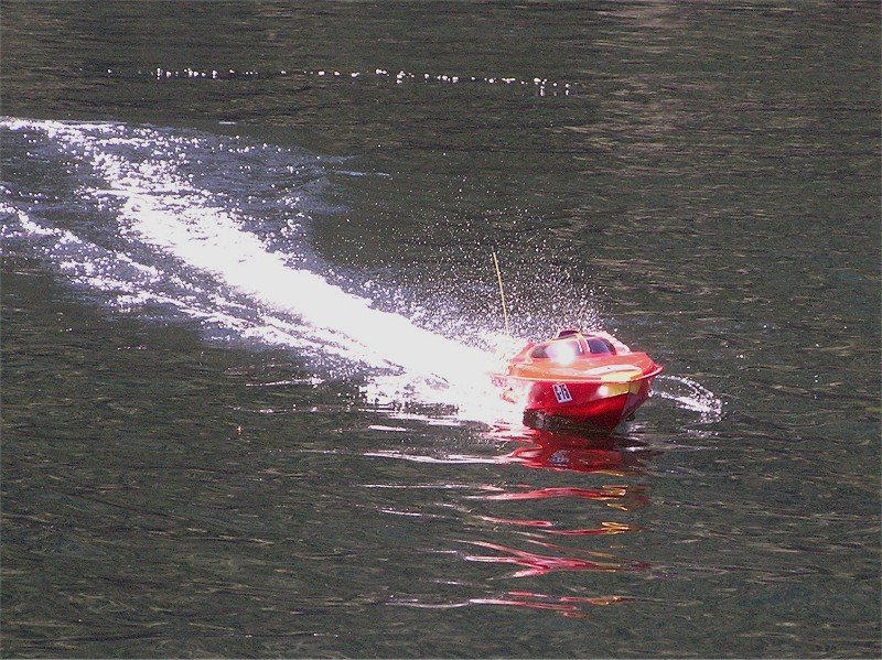Lunz 2006
