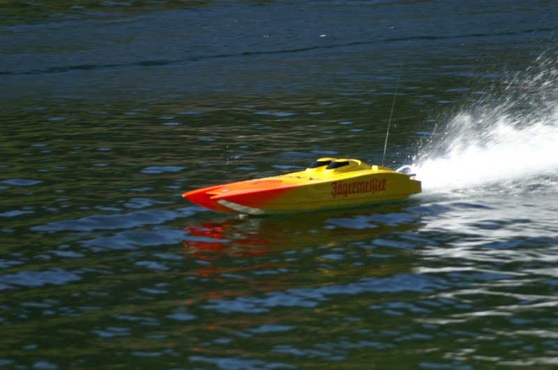 Lunz 2006