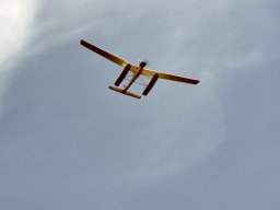 Lunz 2006