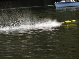 Lunz 2006