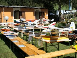 Lunz 2006