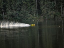 Lunz 2006