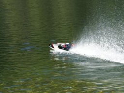 Lunz 2006
