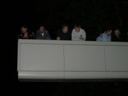 Lunz 2006