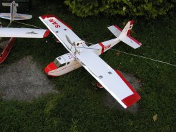 Lunz 2006