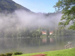 Lunz 2006