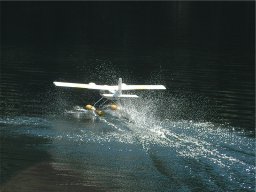 Lunz 2006