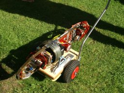 Lunz 2006