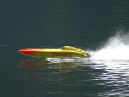 Lunz 2006