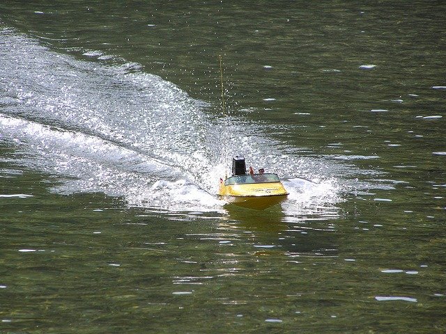 Lunz 2007