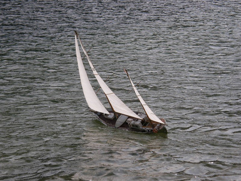 Lunz 2008