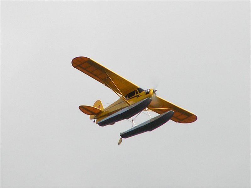 Lunz 2008