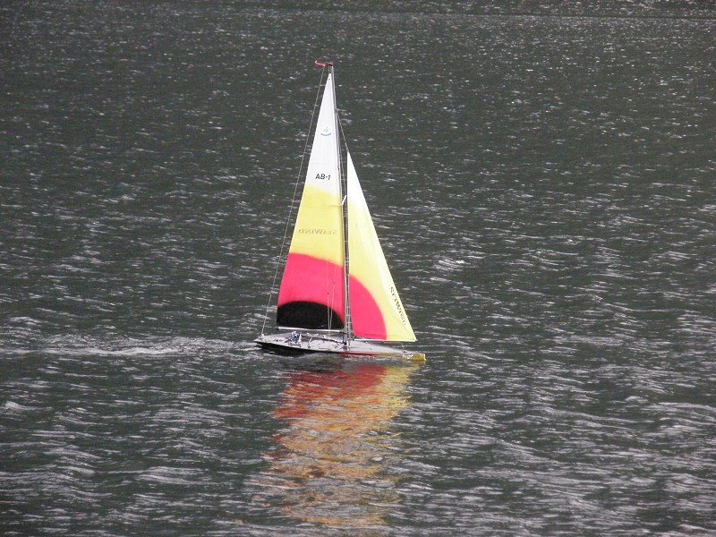 Lunz 2008