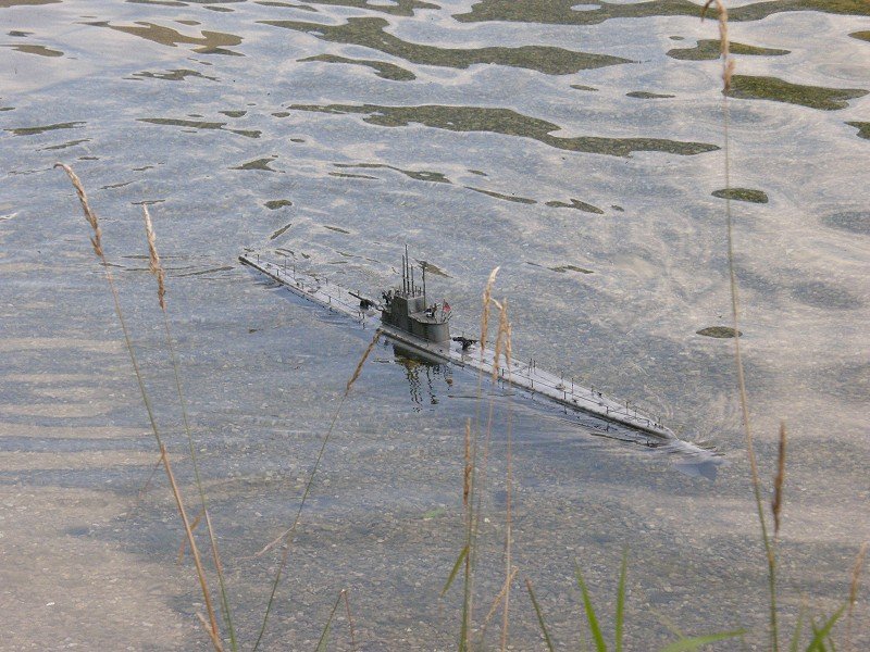 Lunz 2008