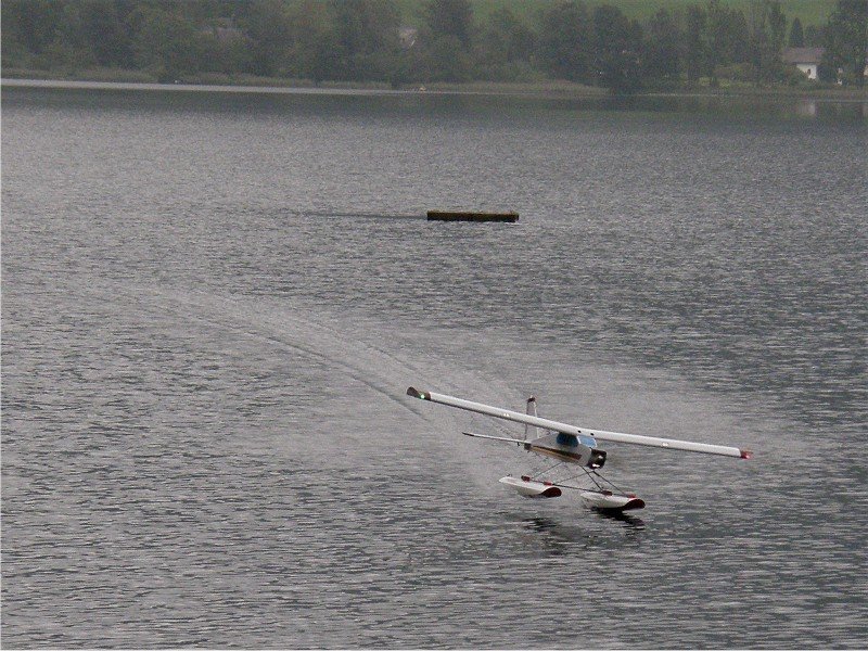 Lunz 2008