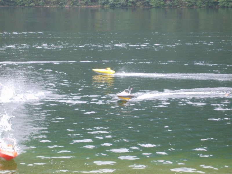 Lunz 2008
