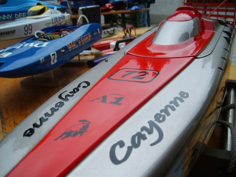 Lunz 2008