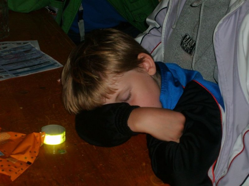 Lunz 2008