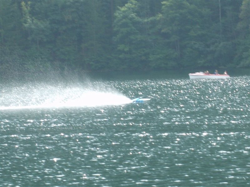Lunz 2008