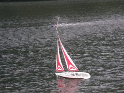 Lunz 2008