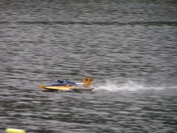 Lunz 2008