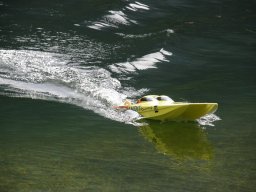 Lunz 2008