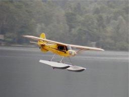 Lunz 2008