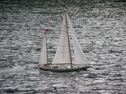 Lunz 2008