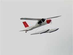 Lunz 2008