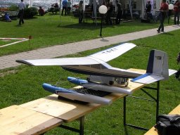 Lunz 2008