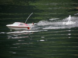 Lunz 2008