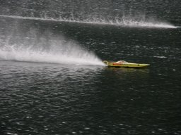 Lunz 2008
