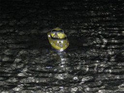 Lunz 2008