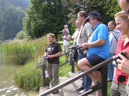 Lunz 2008