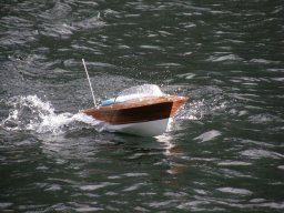 Lunz 2008