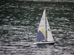 Lunz 2008