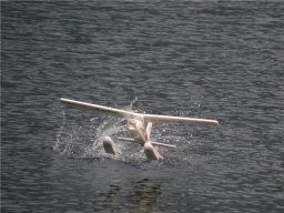 Lunz 2008